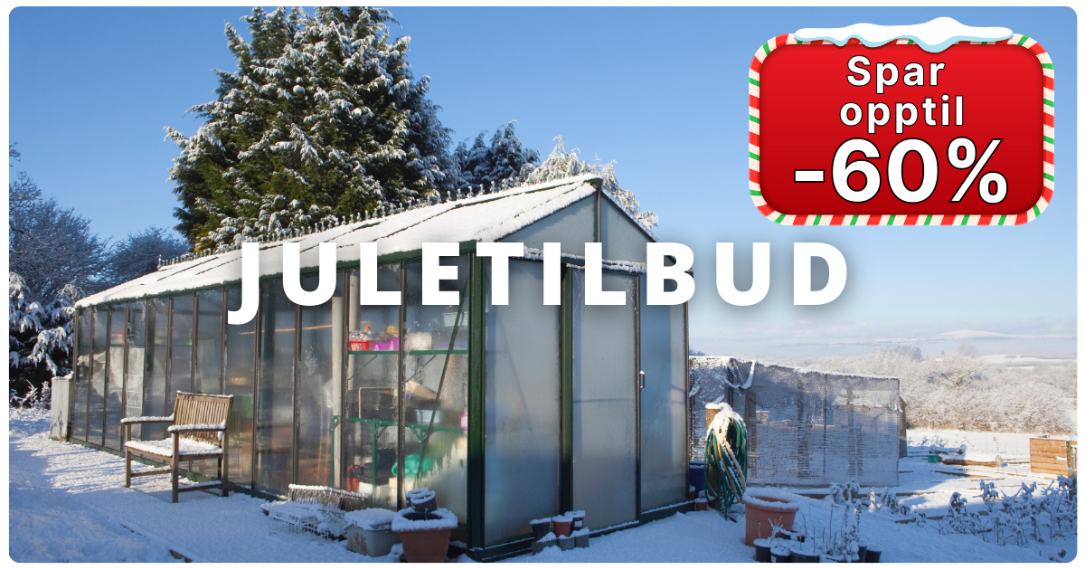 Finn juletilbud og spar stort