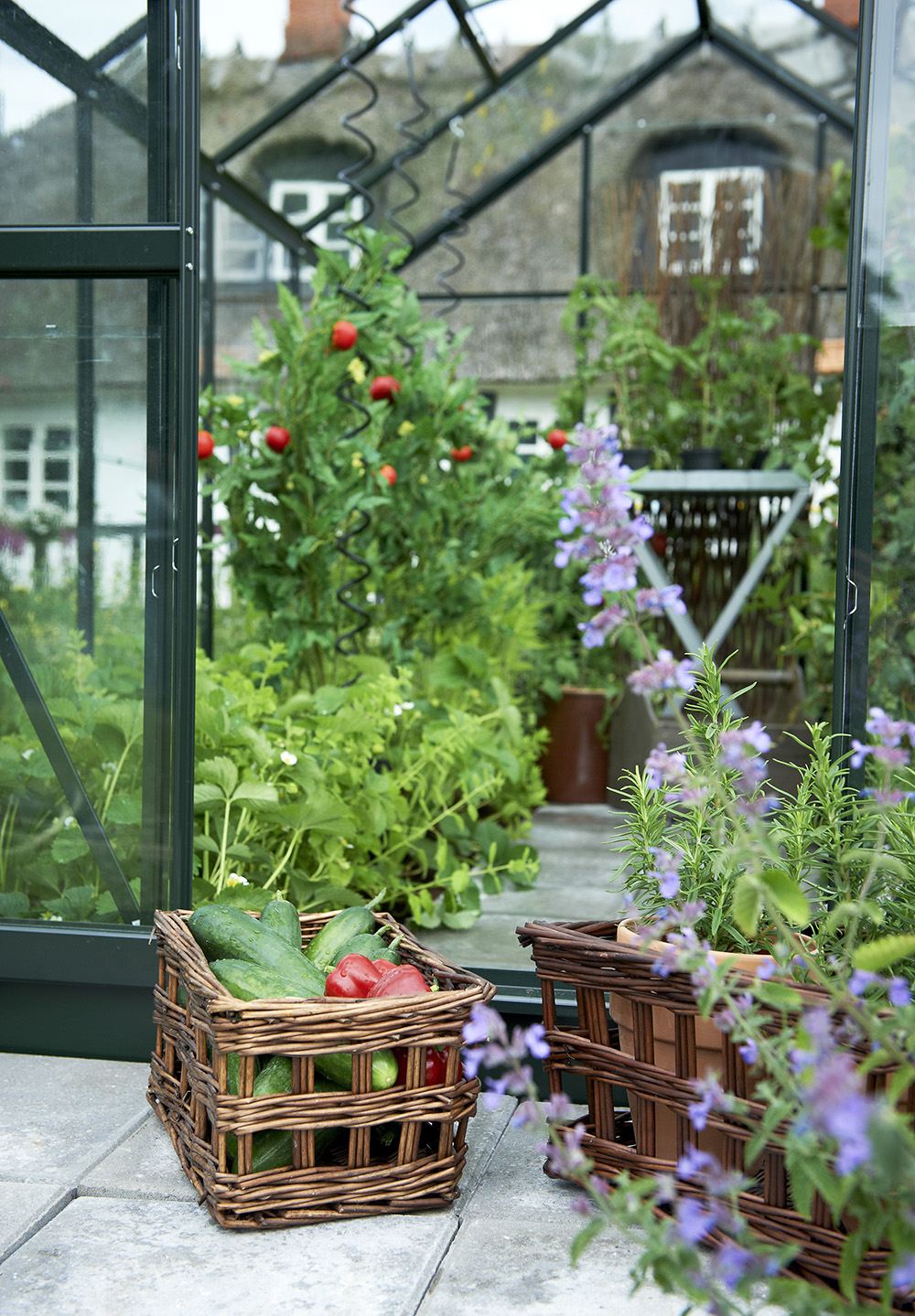 Popular drivhus 6,2 m² - svart Popular drivhus 6,2 m² - svart