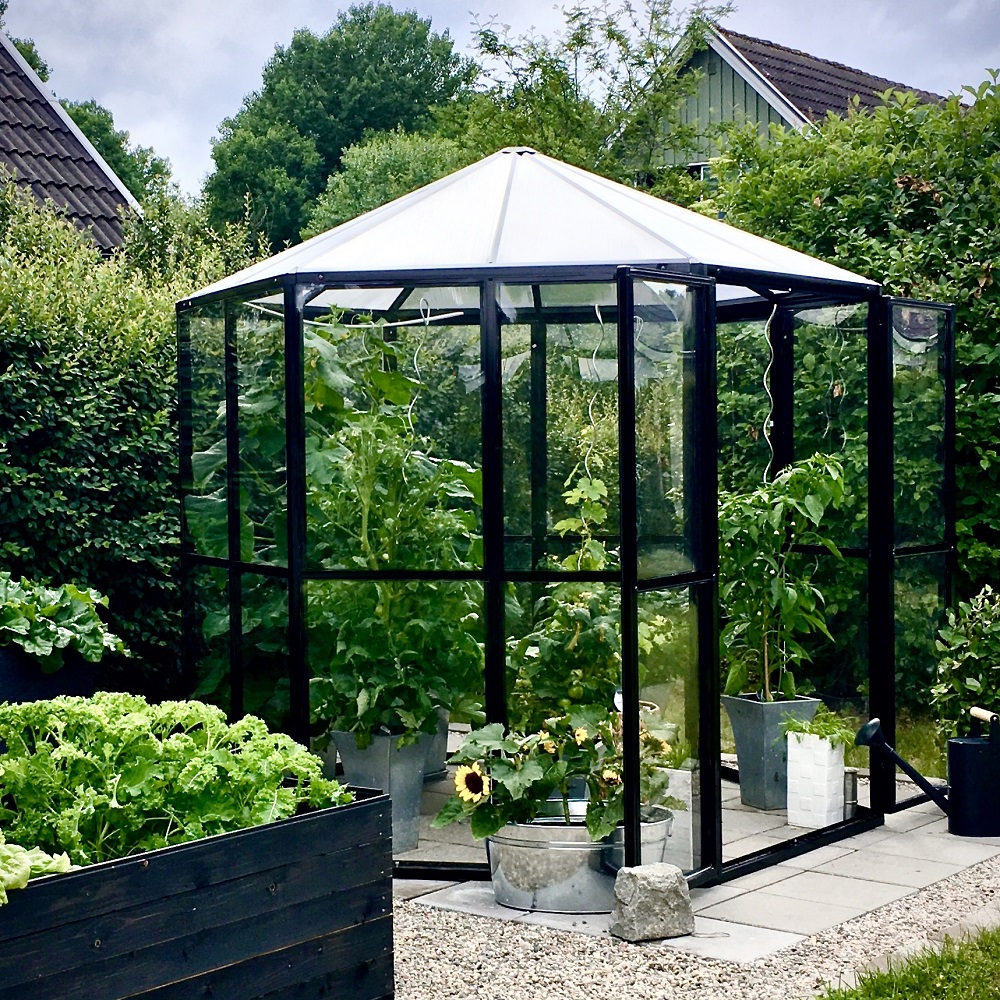 Drivhus Merkurius - 3,7 m² + Drivhusrengjøring Drivhus Merkurius - 3,7 m² + Drivhusrengjøring