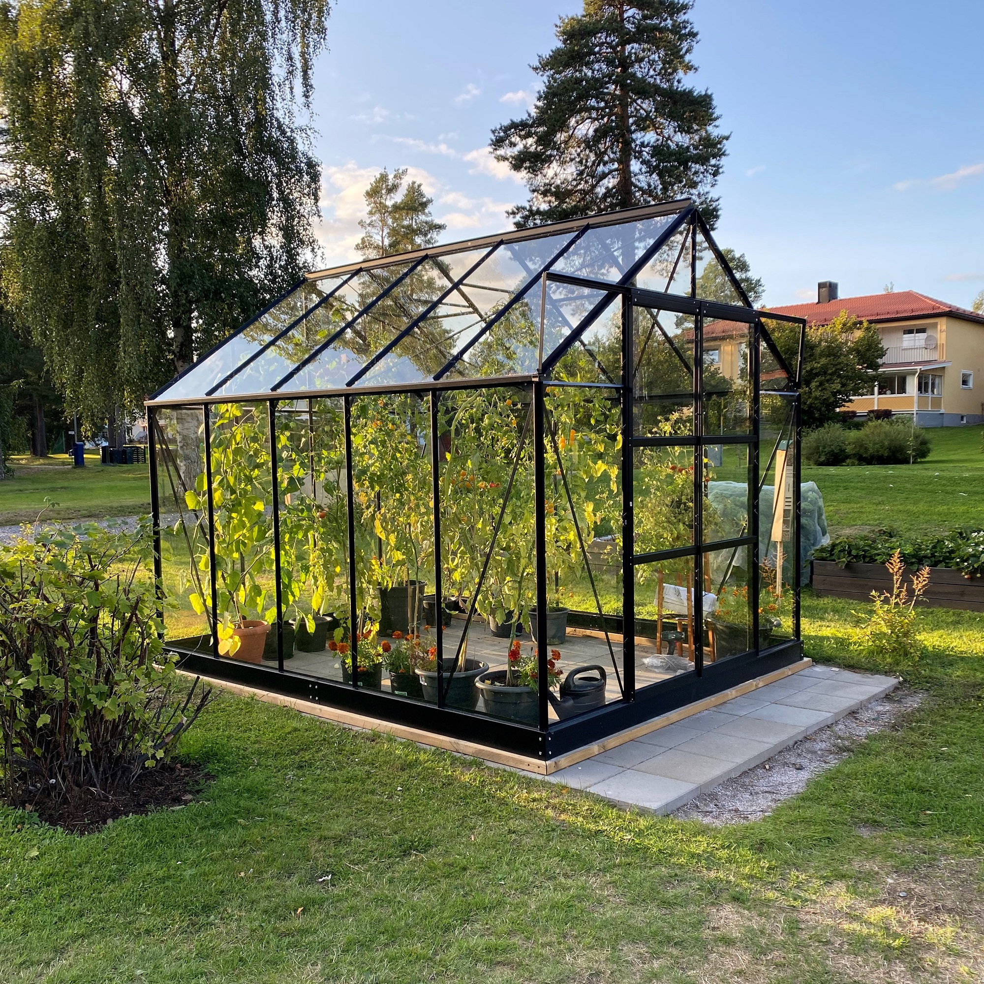 Drivhus Neptunus - 8 m� + Drivhusbord