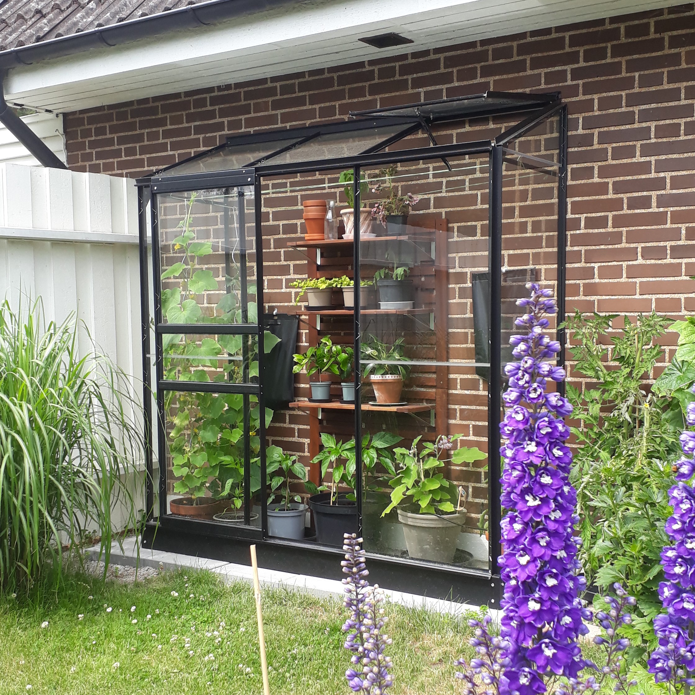 Veggdrivhus Pluto - 1,3 m� + Drivhusbord