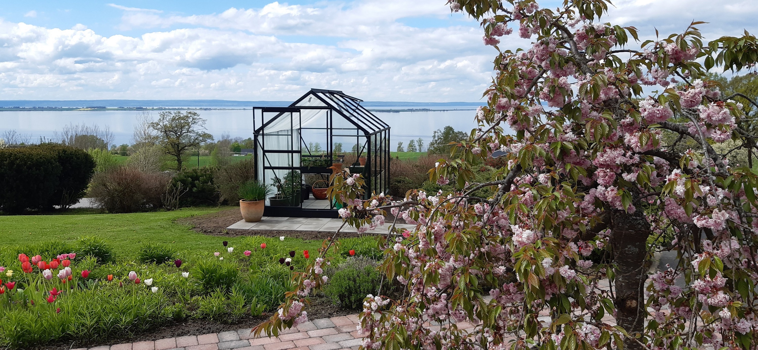 Drivhus Neptunus - 5 m� + Drivhusbord
