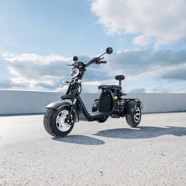 Trehjuls fettscooter 2000W | LG litiumbatteri | Moped klasse 1