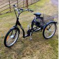 Kundebilde Trehjuls elektrisk sykkel med 7 gir - 250W