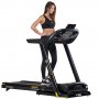 Tredemlle Premium - BE5856