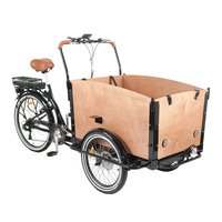 Lastesykkel med brun kasse - 250W Lastesykkel med brun kasse - 250W