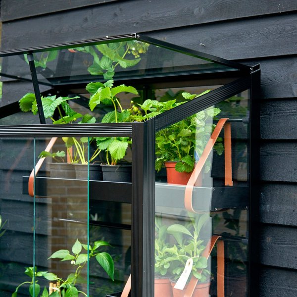 Drivhus City Green House