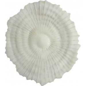 Korall veggdekorasjon D 48 cm - Lys