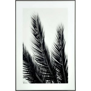 Glasstavle 120x80 cm
