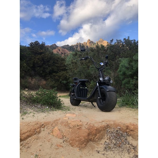 Elscooter Citycoco - 1500W + Lås kjede Elscooter Citycoco - 1500W + Lås kjede