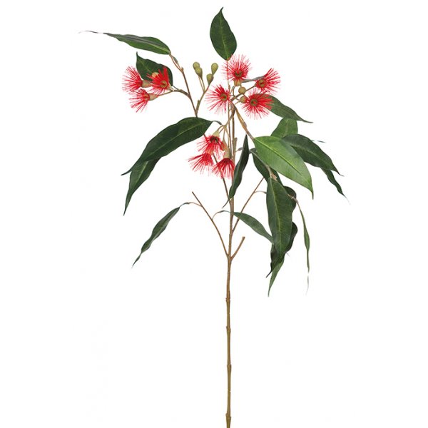 Eukalyptus kunstig plante Eukalyptus kunstig plante