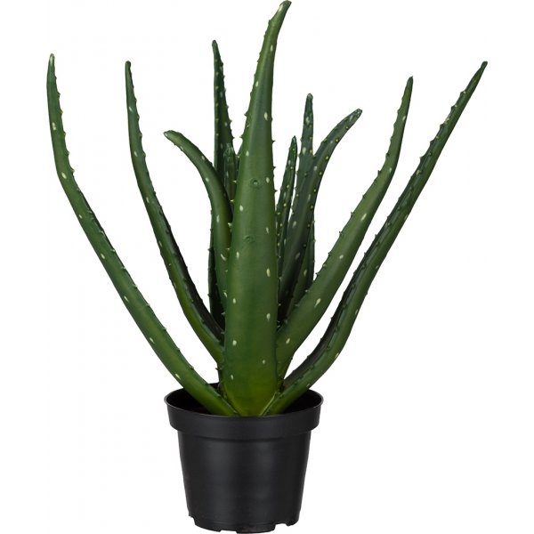 Kunstig plante av aloe vera Kunstig plante av aloe vera
