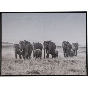 Maleri av elefanter - 80x60 cm