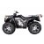 Firhjuling med 4WD - 250cc