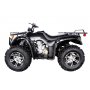 Firhjuling med 4WD - 250cc