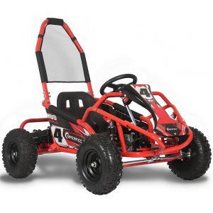 Crosskart / minibuggy - 1000W