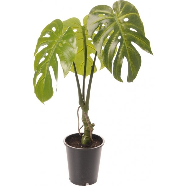 Monster kunstig plante Monster kunstig plante