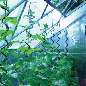 Plantespiral Plantespiral