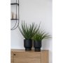 Aloe Vera kunstig plante - H:51 cm - Gr�nn