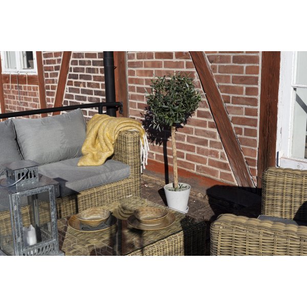 Jularbo sofagruppe - Naturlig kunstrotting Jularbo sofagruppe - Naturlig kunstrotting