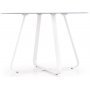Raphael rundt spisebord 115 cm - Hvit (Glass) / Metall