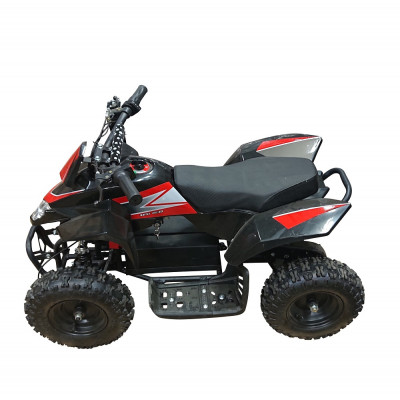 Mini-ATV - Rd 800W