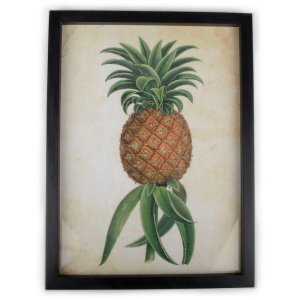 Maleri Ananas 40x30 cm