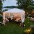 Partytelt 3×6 m med vegger | Hvitt Partytelt 3×6 m med vegger | Hvitt